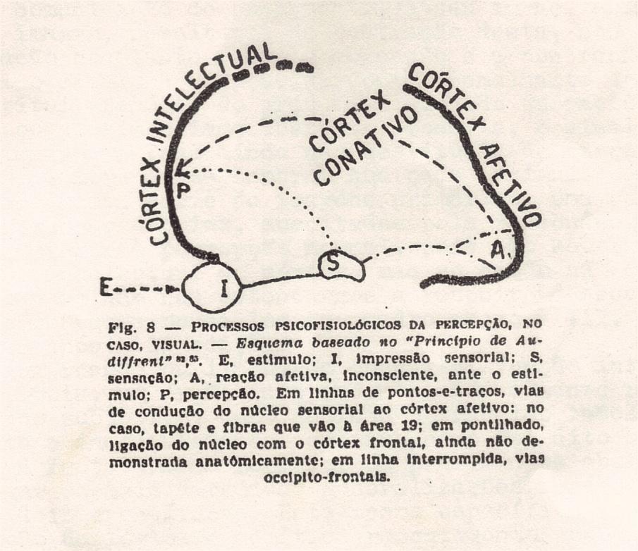 Esquema 6 - psicologia fisiológica.jpg