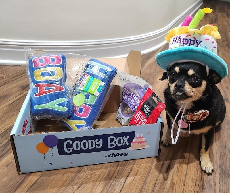 Chewy Goody Box: A mix of treats and toys from premium brands