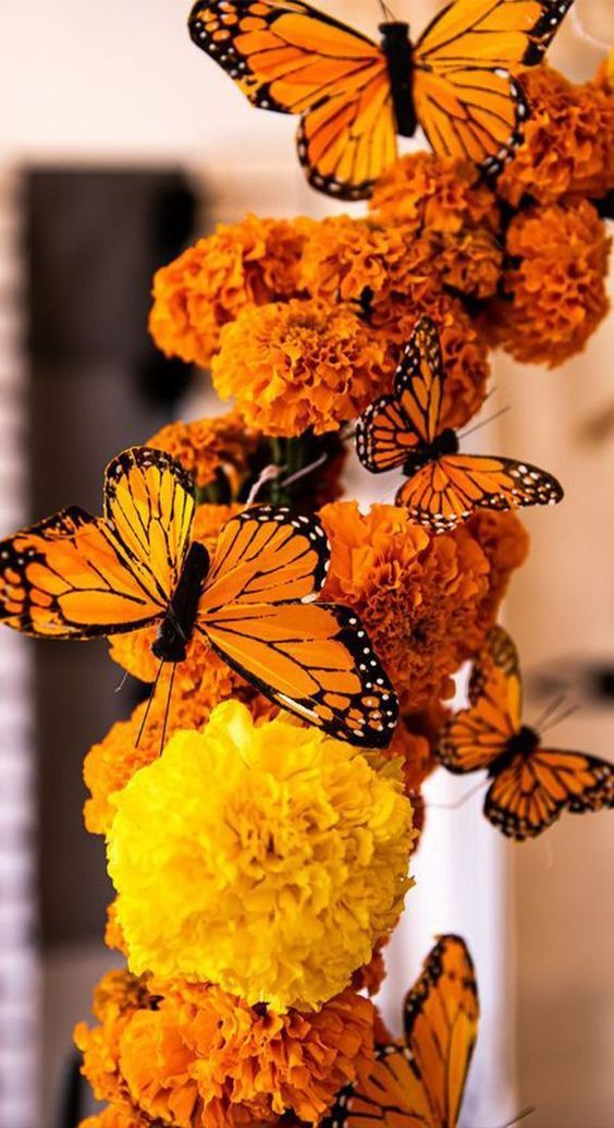 mariposas monarca Día de Muertos