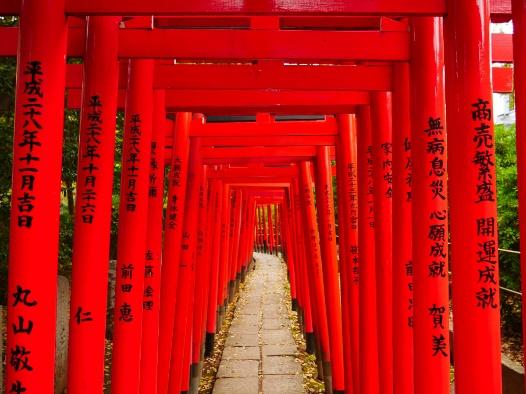 A path with red poles with Fushimi Inari-taisha in the background

Description automatically generated