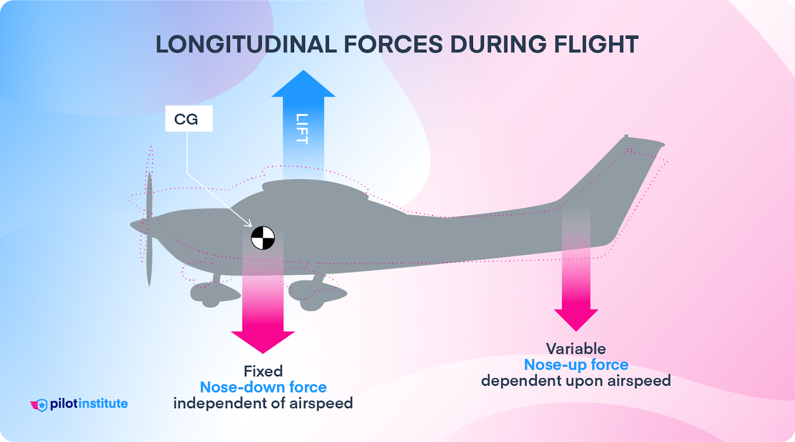 The longitudinal forces during flight, including CG, lift, and tail nose-up force.
