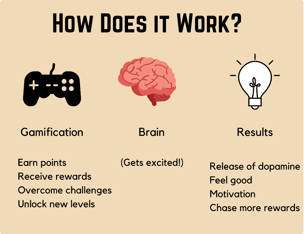 An infographic that details how the gamification process works. 
