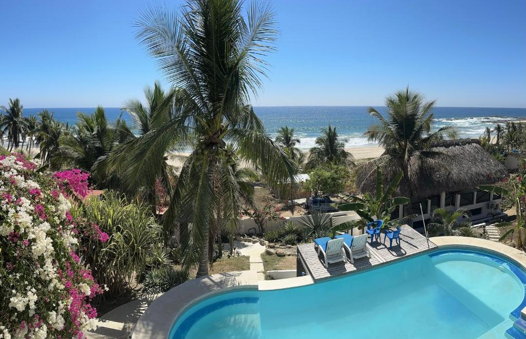 Beachfront Paradise Upscale Hotels