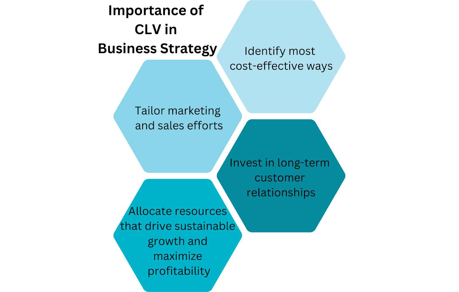 Importance of Customer Lifetime Value in Business Strategy