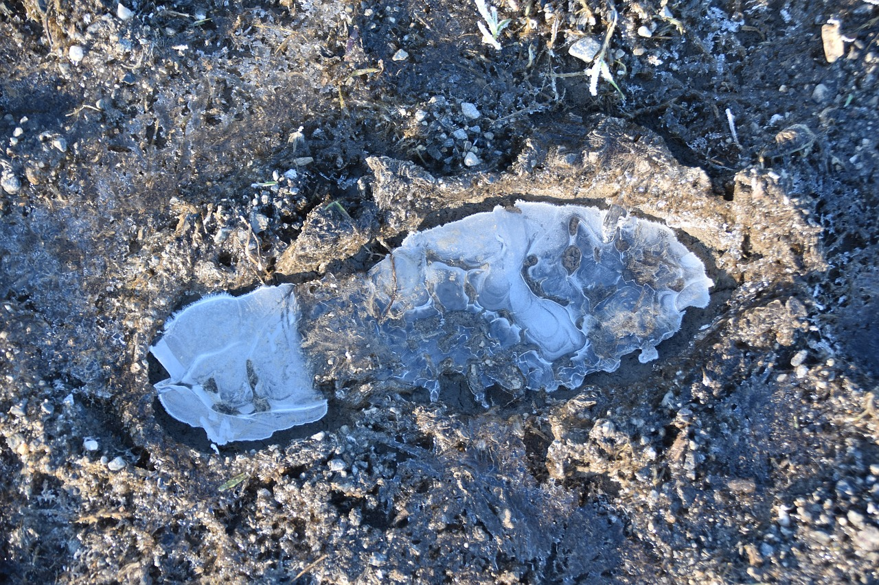 single footprint on a muddy ground