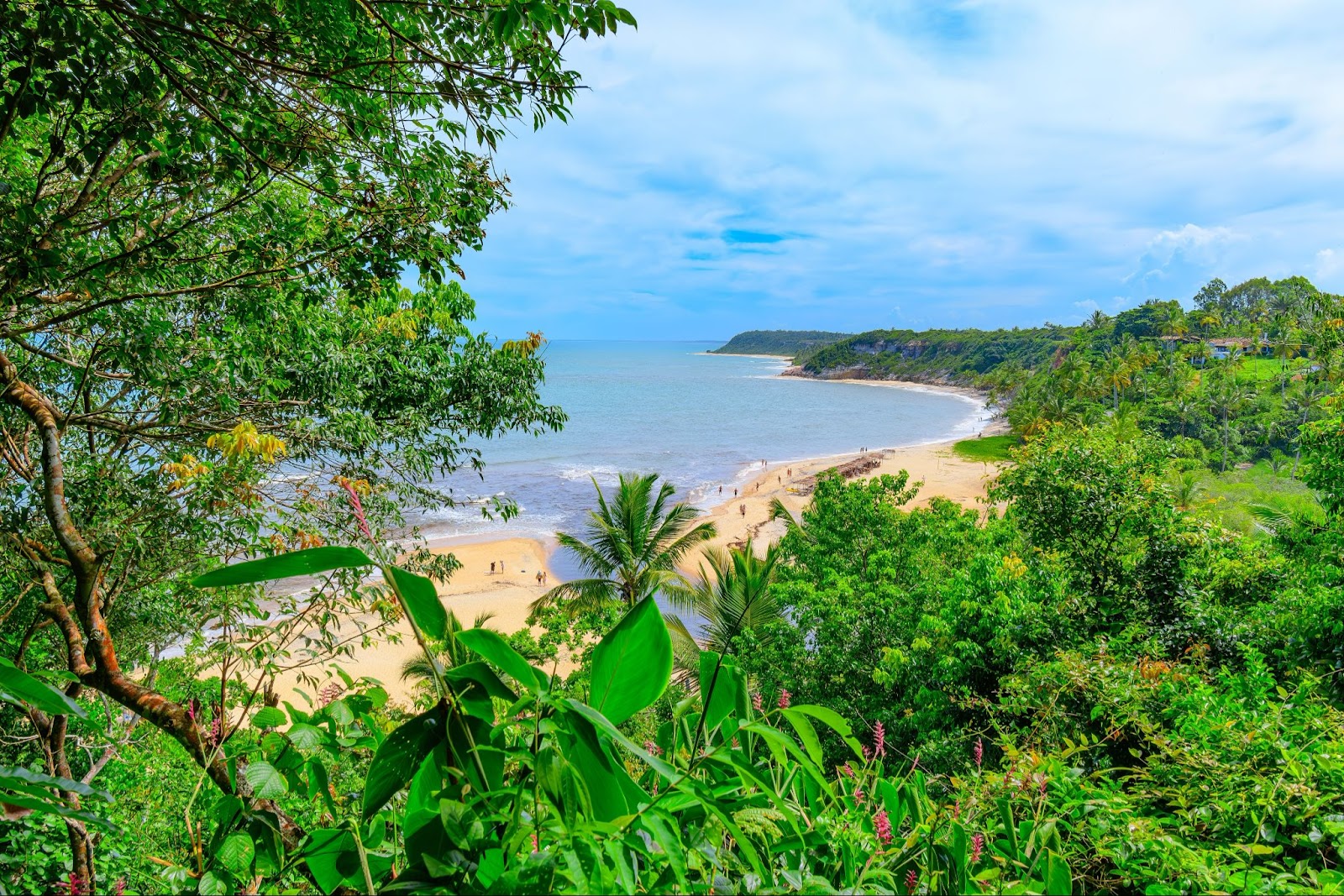 Vista aérea da Praia do Espelho, tirada do ponto de vista da vegetação que cerca a praia.