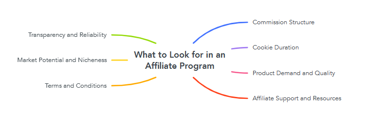 What to Look for in an Affiliate Program?