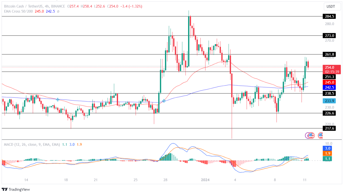 Bitcoin Cash Price Analysis