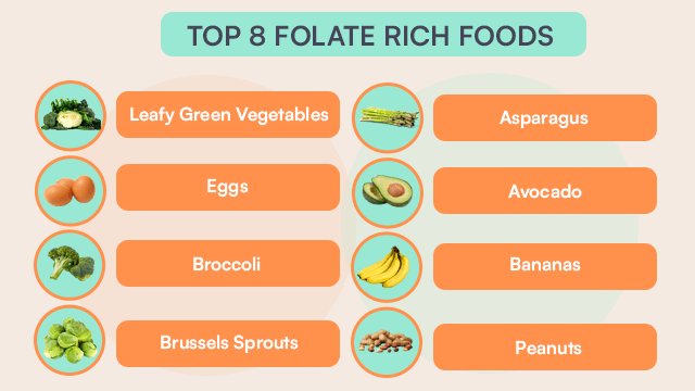 Top 8 Folate Rich Foods
