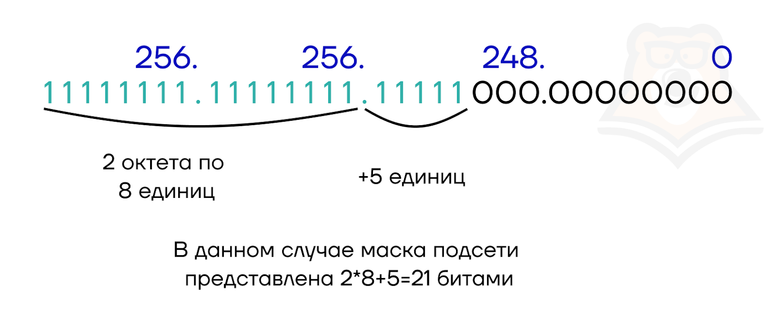 Структура IP-адреса - Умскул Учебник