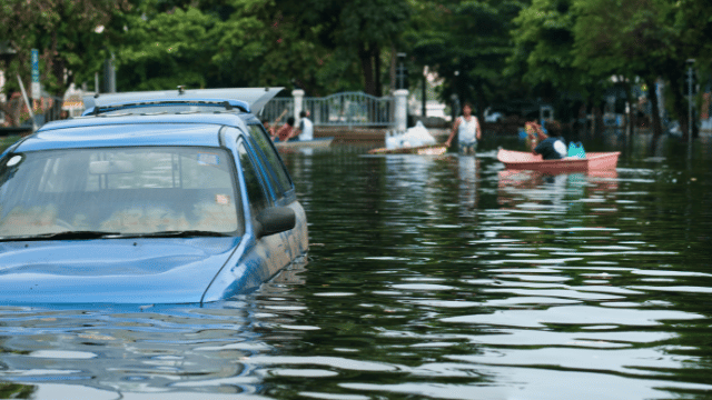 CARS DIPPED IN FLOOD

