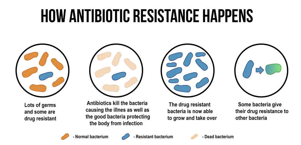 Antimicrobial Resistance