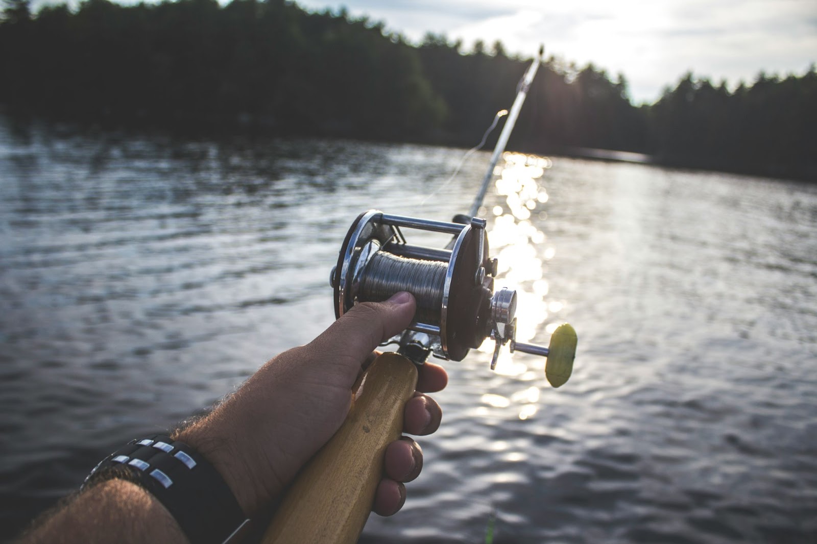 Fishing rod over lake