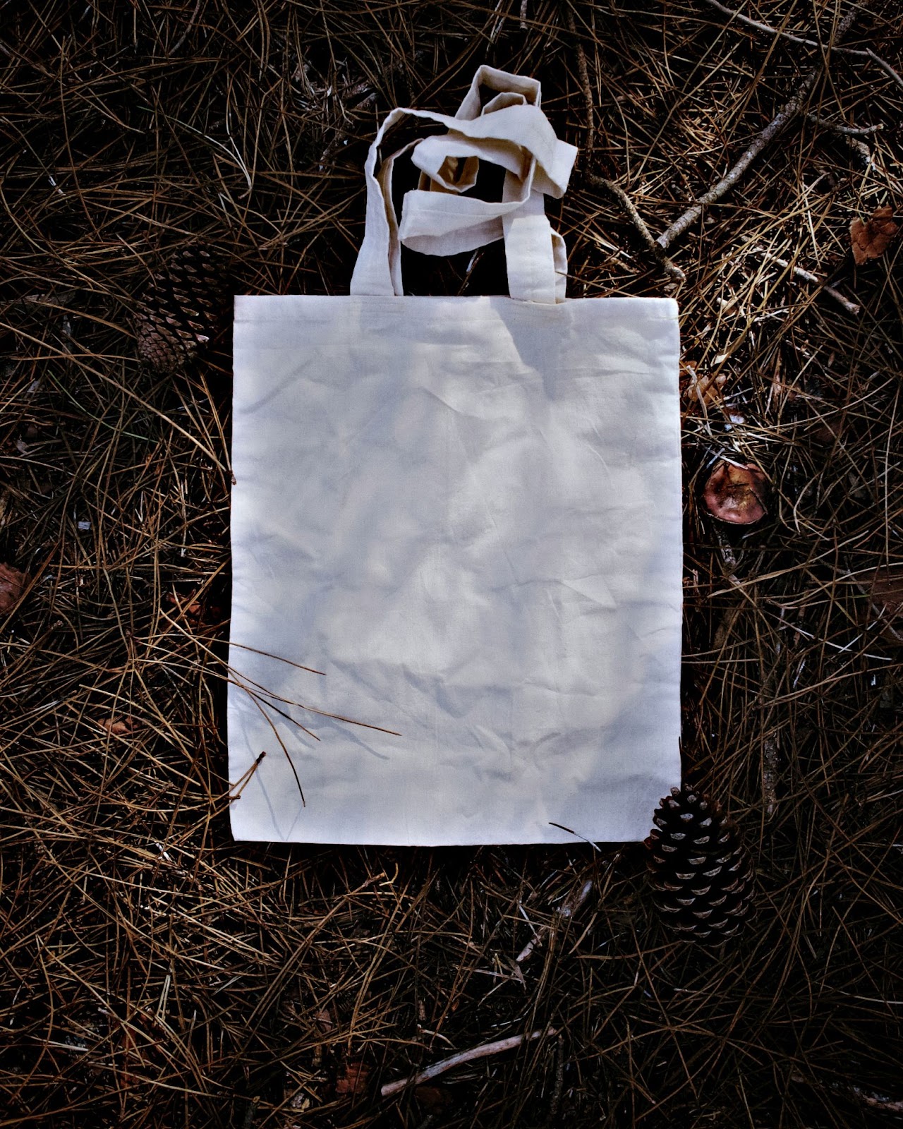 Reusable tote bag for Earth Day