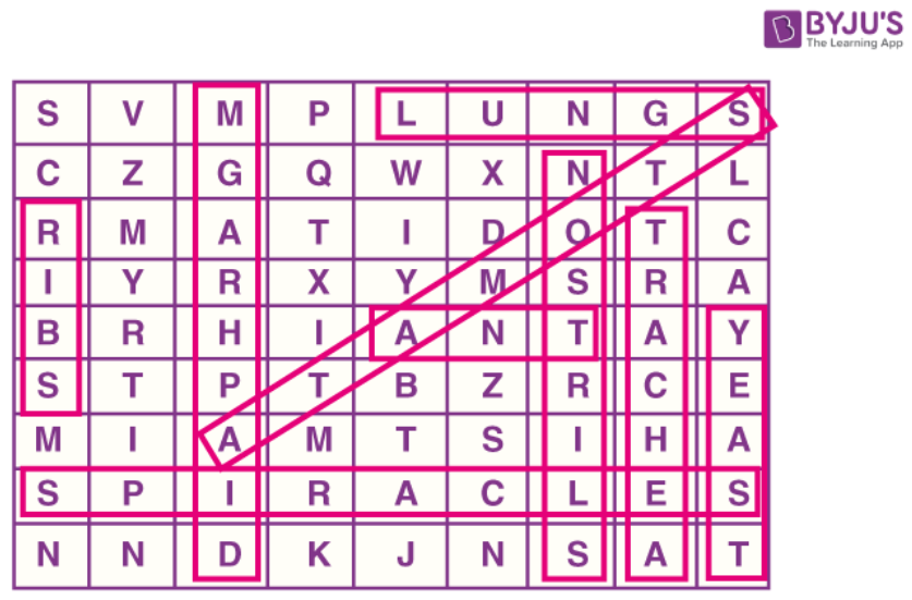 Puzzle on respiration