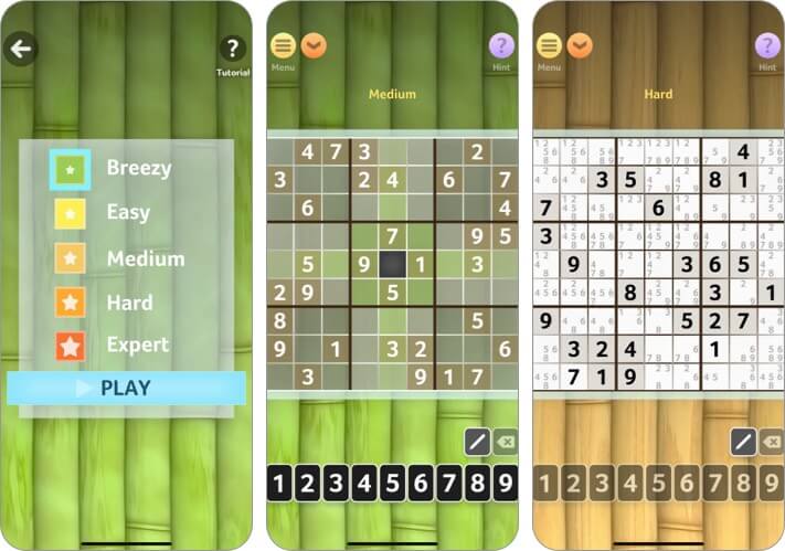 Sudoku by Brainium Studios LLC iPhone and iPad Game Screenshot