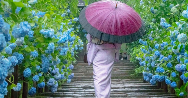 A person walking down stairs with a pink umbrella
Description automatically generated