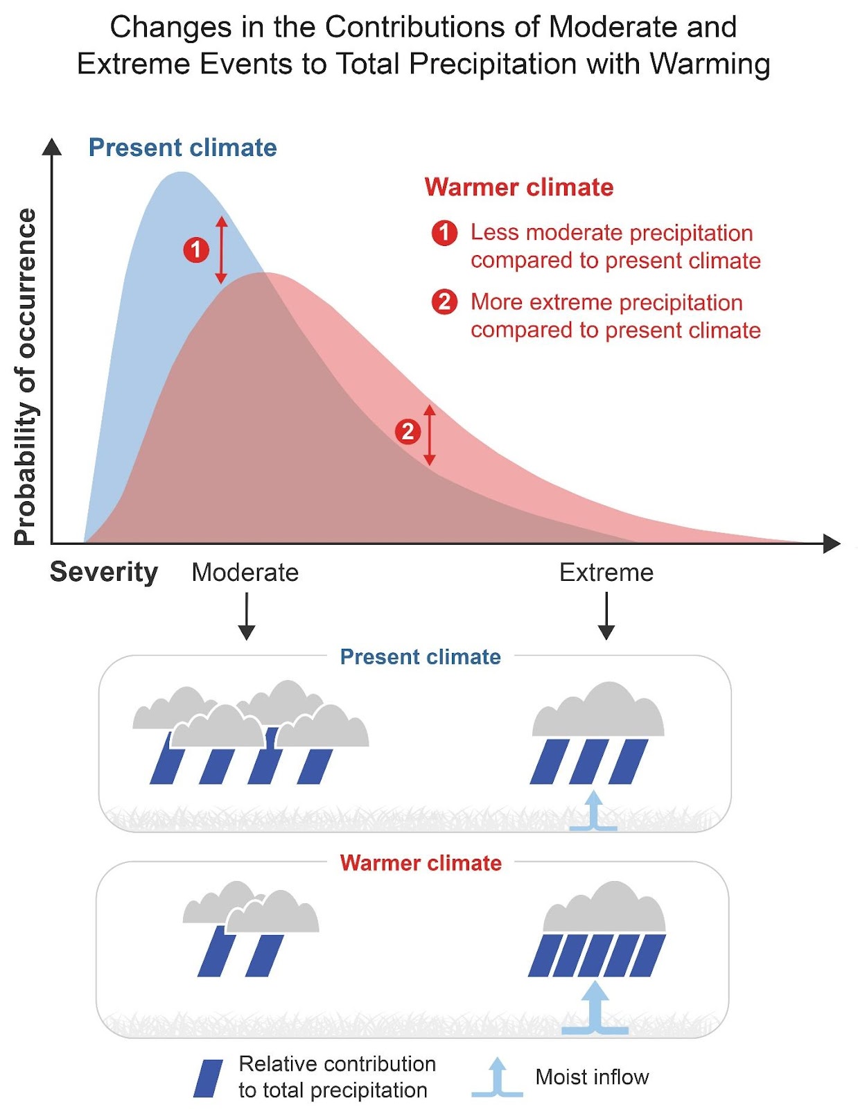 Changes in the Contributions of Moderate and Extreme Events to Total Precipitation with Warming