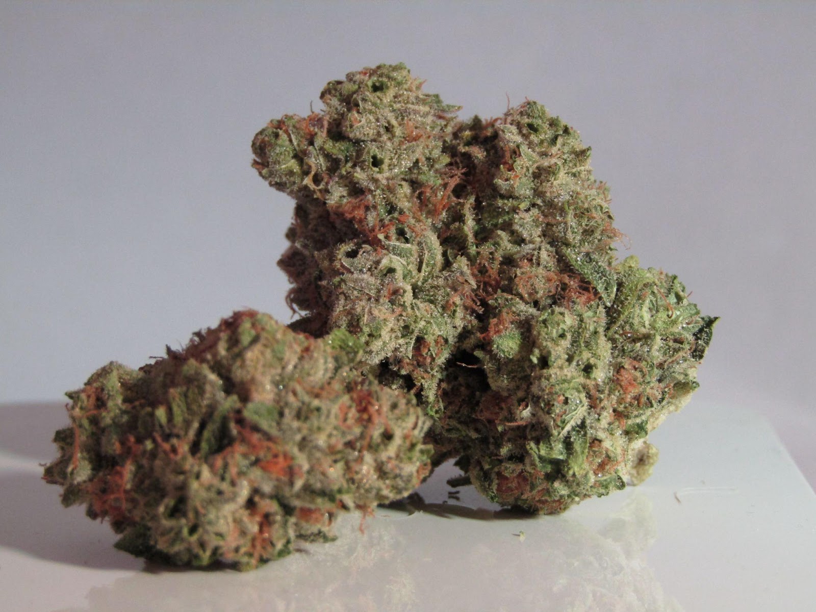 Killer Cupcake Strain Review and Information