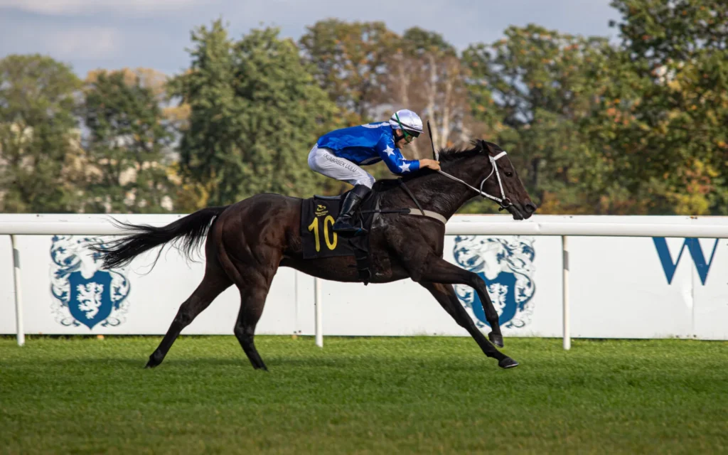 A jockey riding a horse on a track  Description automatically generated