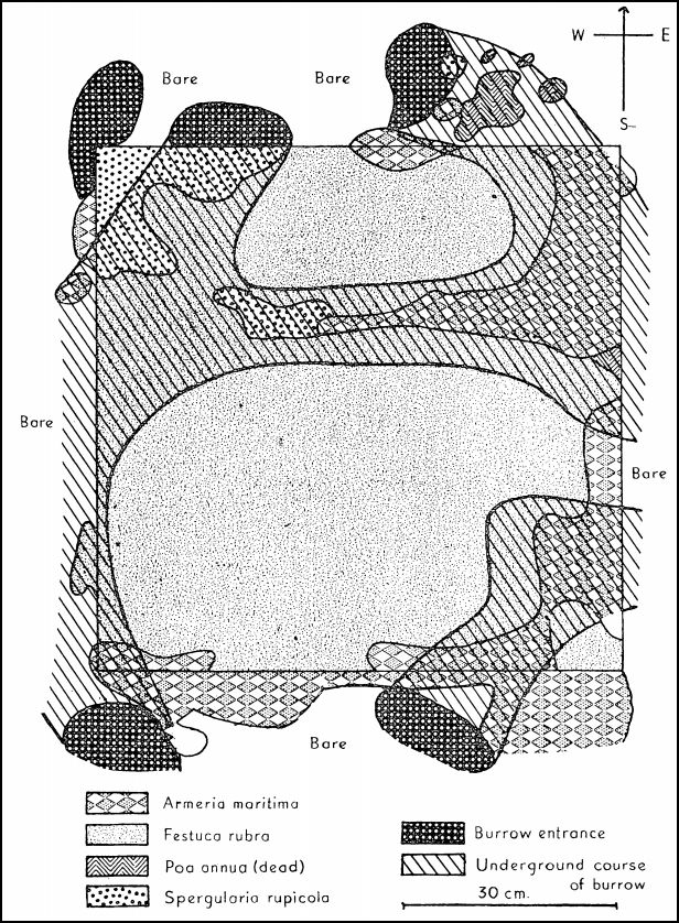 gillham exclosure.jpg