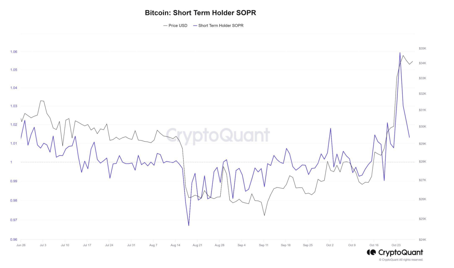Bitcoin short term holders, Bitcoin October