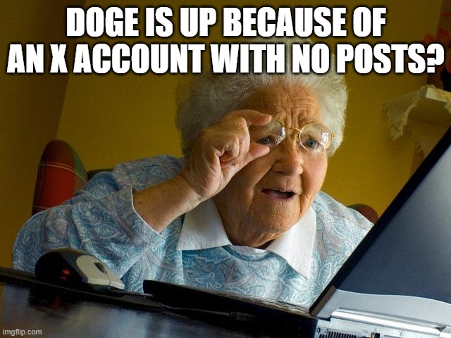 Why Did X Payments Just Pump Doge? - - 2024