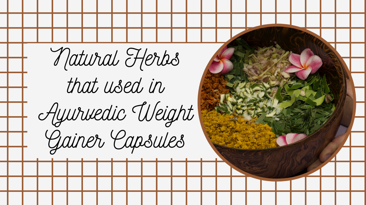 natural herbs thats used in ayurvedic weight gain capsules