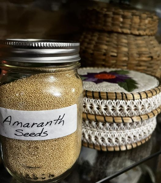 AMARANTH SEED