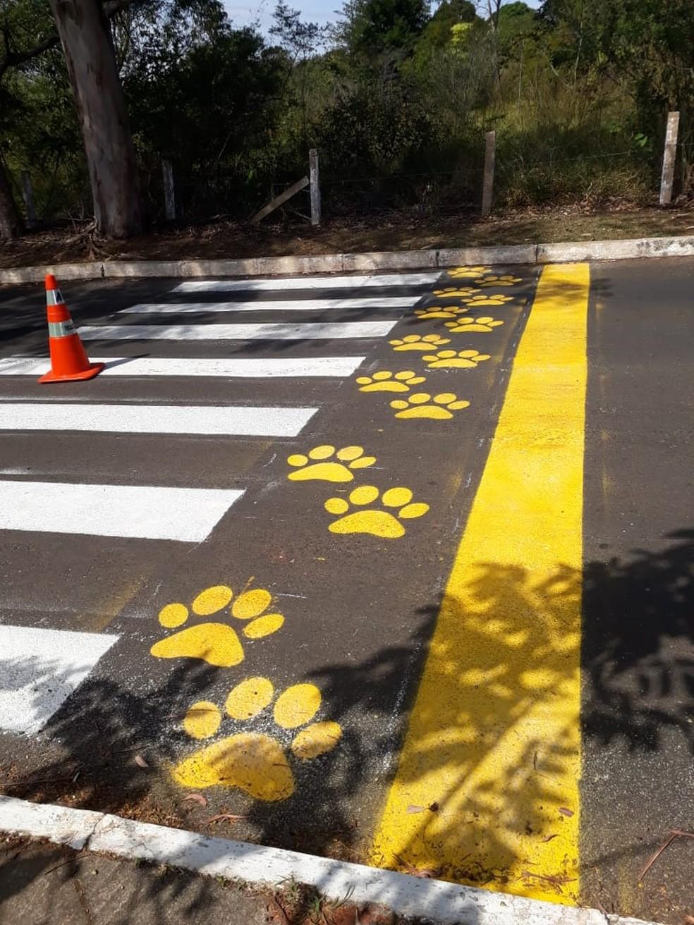 'Patadestre" instalada no Lago Oeste — Foto: Profauna-DF / Reprodução