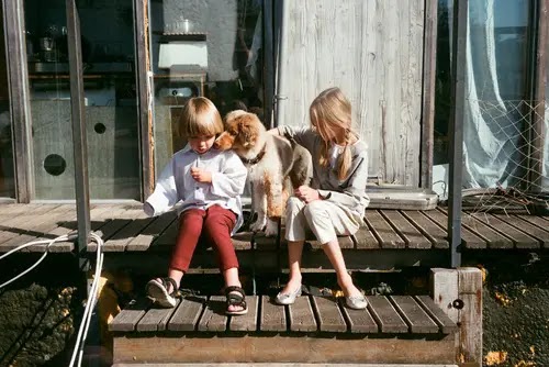 dwójka dzieci z psem siedzą razem na tarasie
