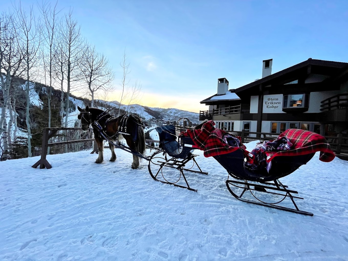 Broken Arrow Sleigh Rides