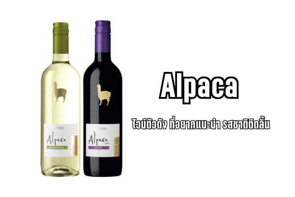 Alpaca ไวน์ตัวดัง ที่อยากแนะนำ รสชาติติดลิ้น 1