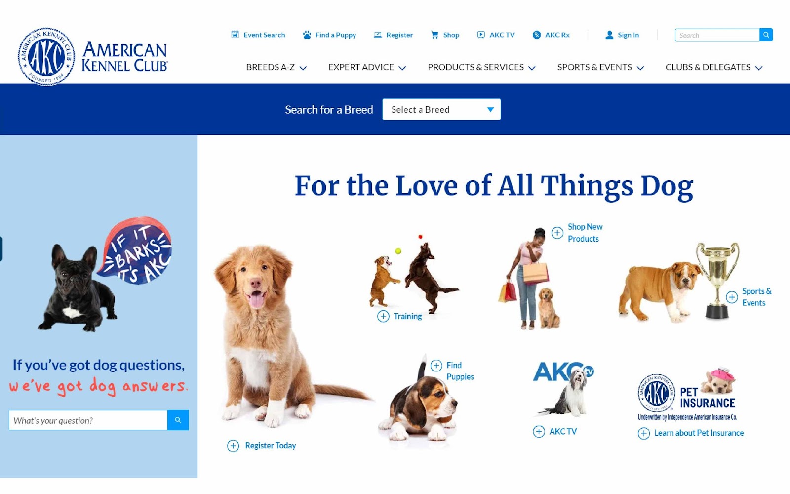 Americal Kennel Club | Best Dog Adoption Site