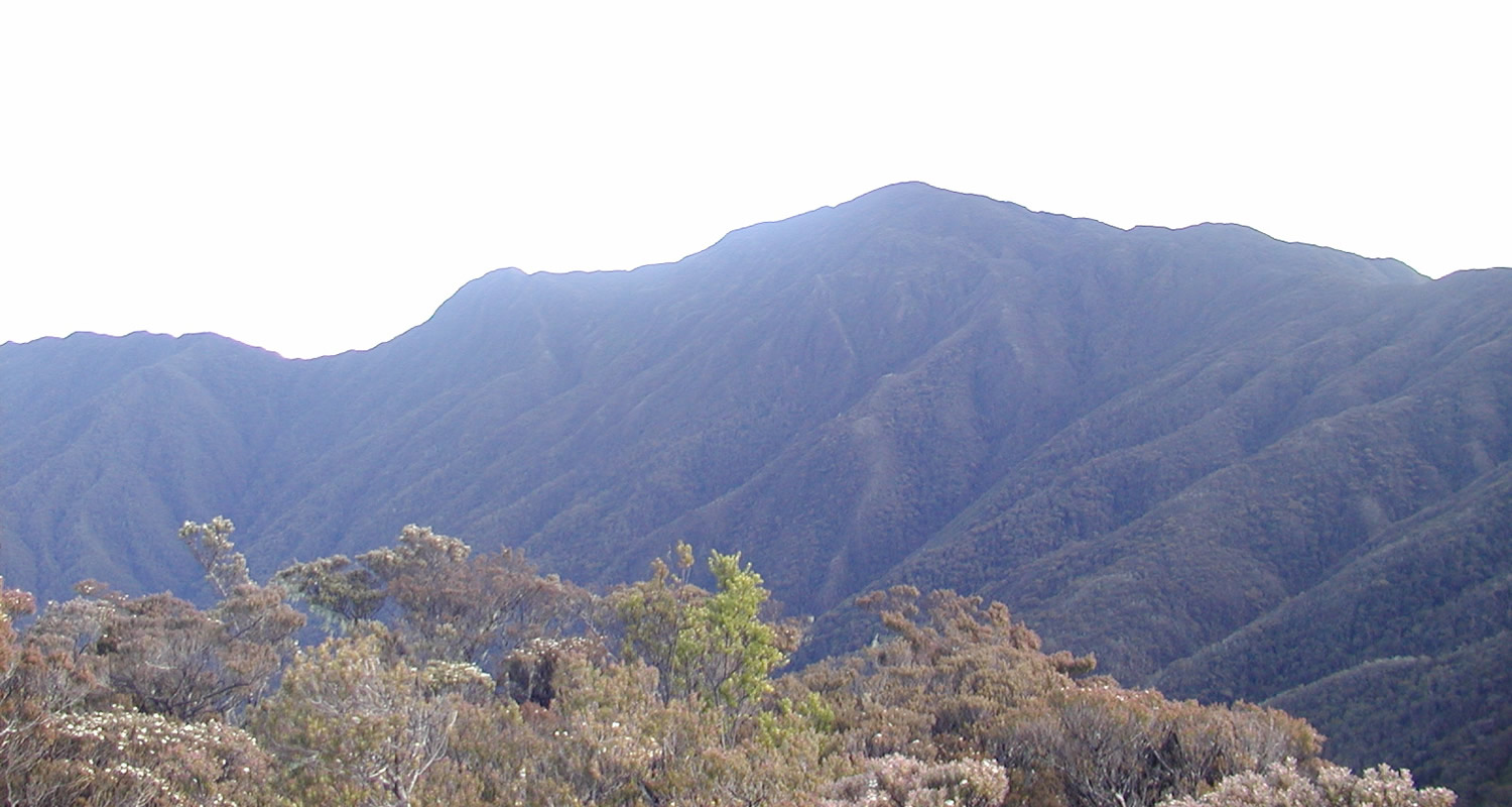 Gunung Latimojong (Photo: The Seven Summit Indonesia)