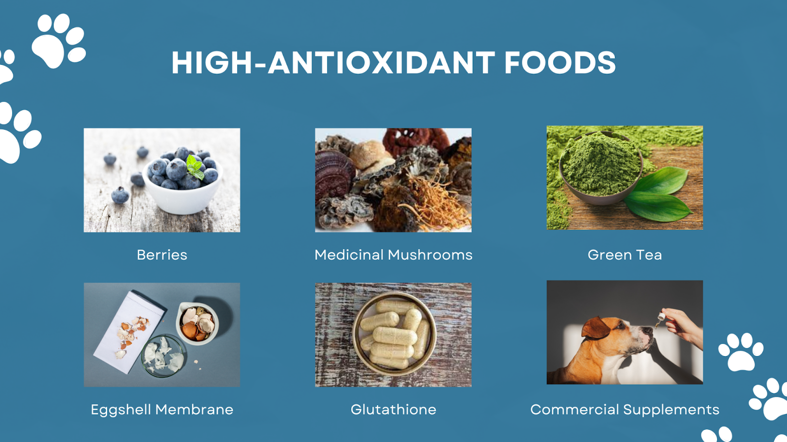 High-antioxidant foods