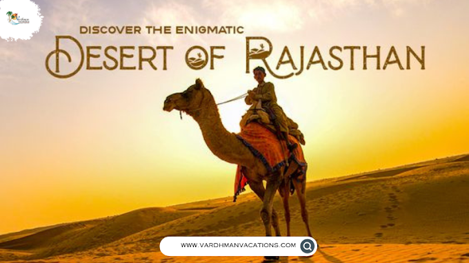 Experiencing the Thrilling Adventure of Desert Safari in Rajasthan