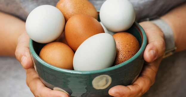 Can Vegan Eat Eggs?