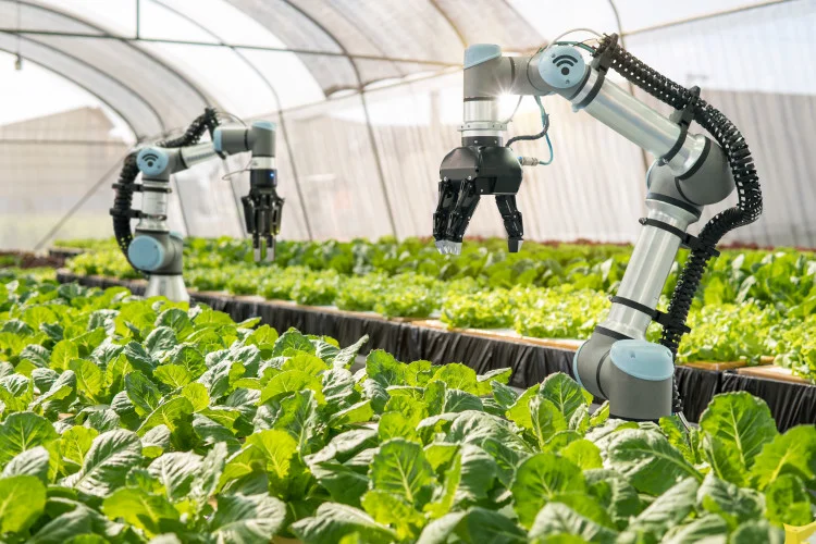 AI in Agriculture 