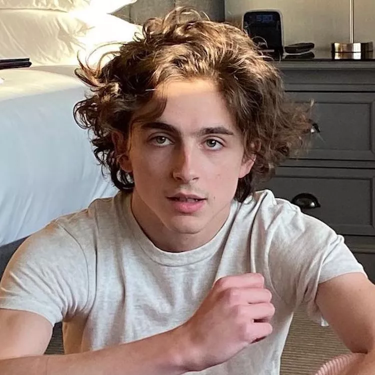 Picture of Timothee Chalamet wearing Shag