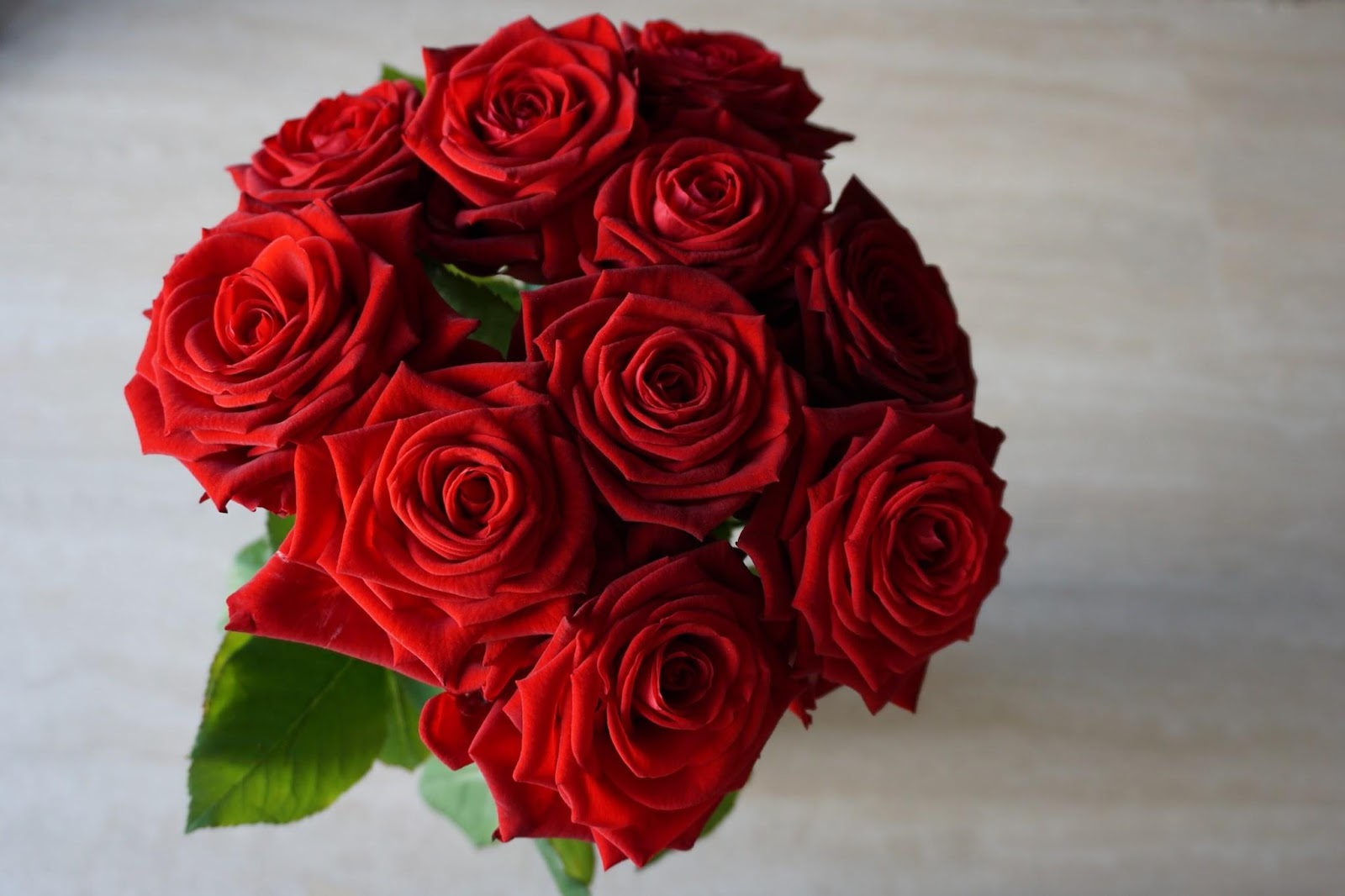 Bouquet of red roses