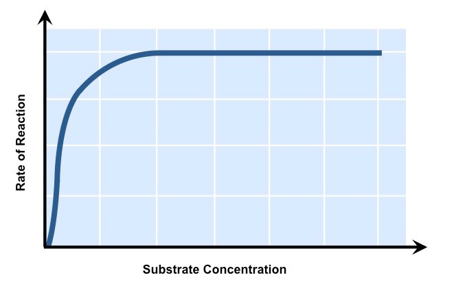 enzyme substrate concentration