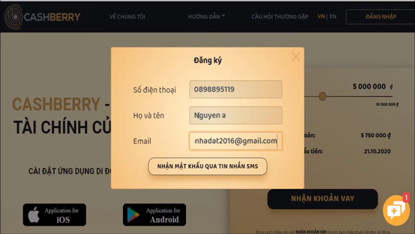 CashBerry là gì? Hướng dẫn vay CashBerry nhanh nhất