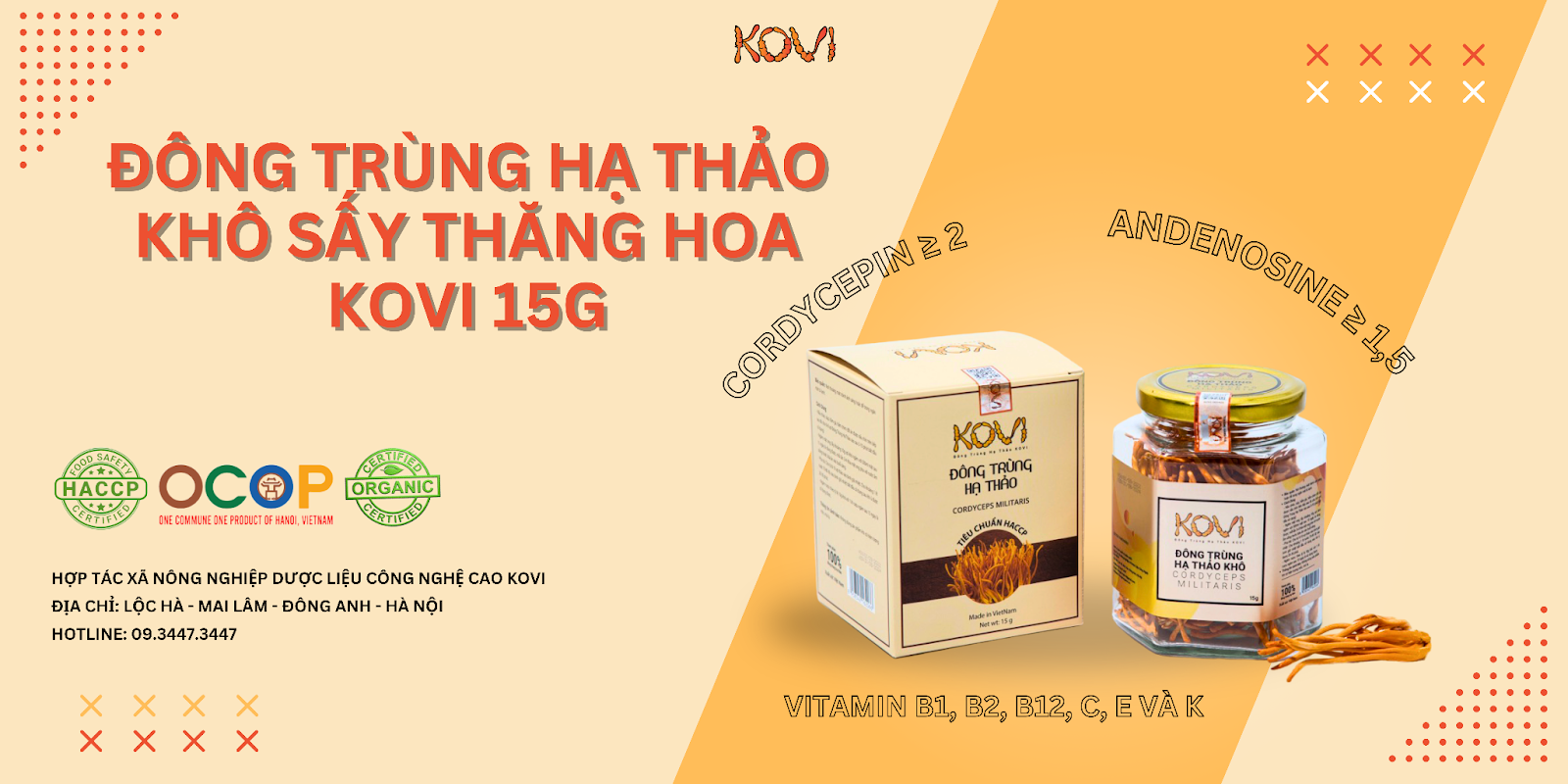 Đông trùng hạ thảo loại 1