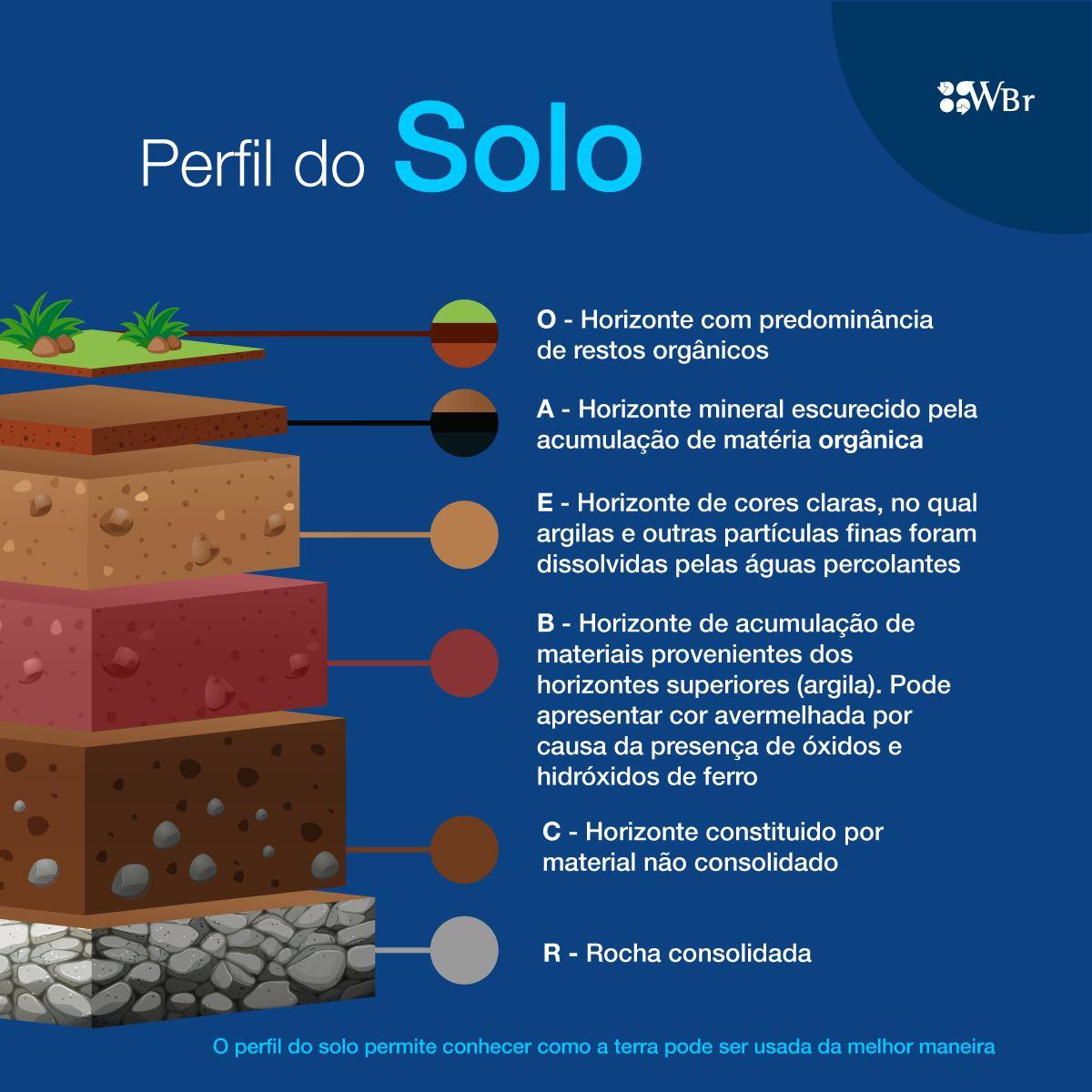 Veja os benefícios do solo humífero, camadas, processo de formação e +