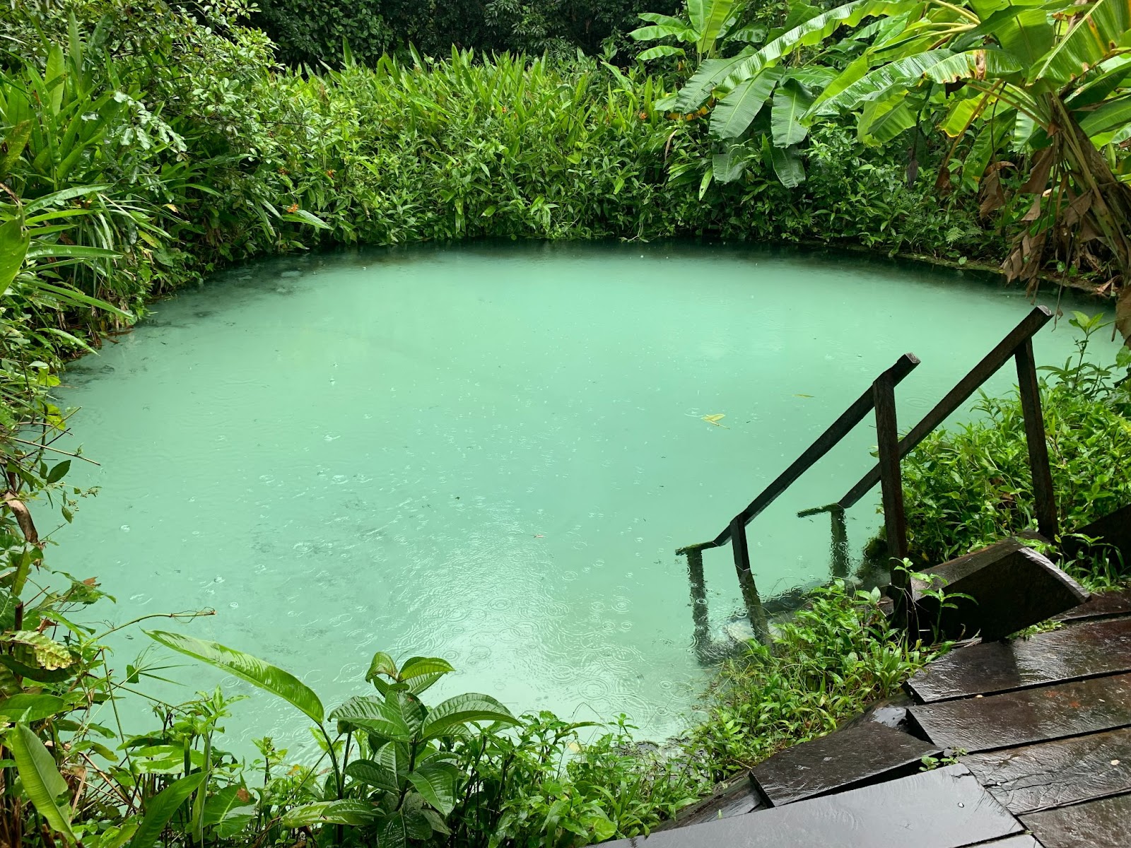 Um dos poços do Jalapão, em formato circular, rodeado pela natureza. Águas esverdeadas, com pequena escada de madeira de fora para dentro da água.
