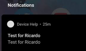 Test for Ricardo notification 