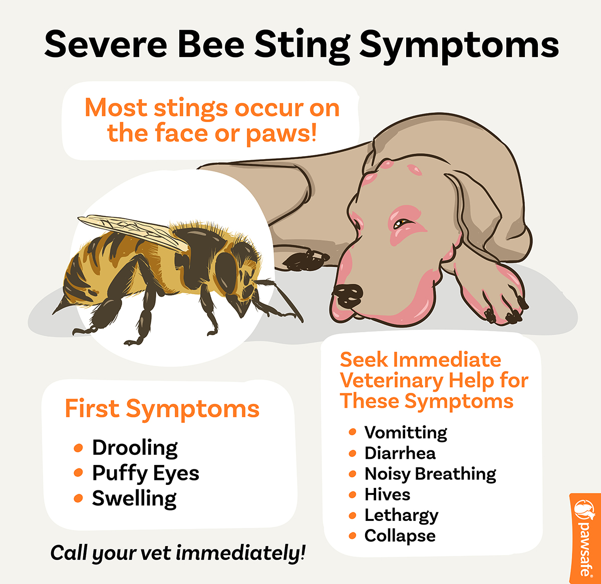 infographic of severe bee sting in dogs symptoms