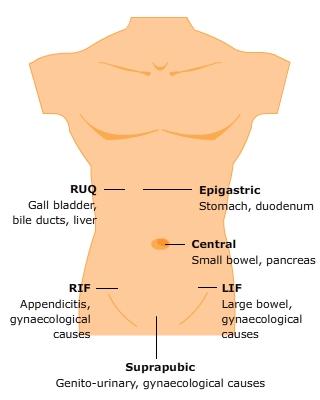 Abdominal Pain without Shock - RCEMLearning