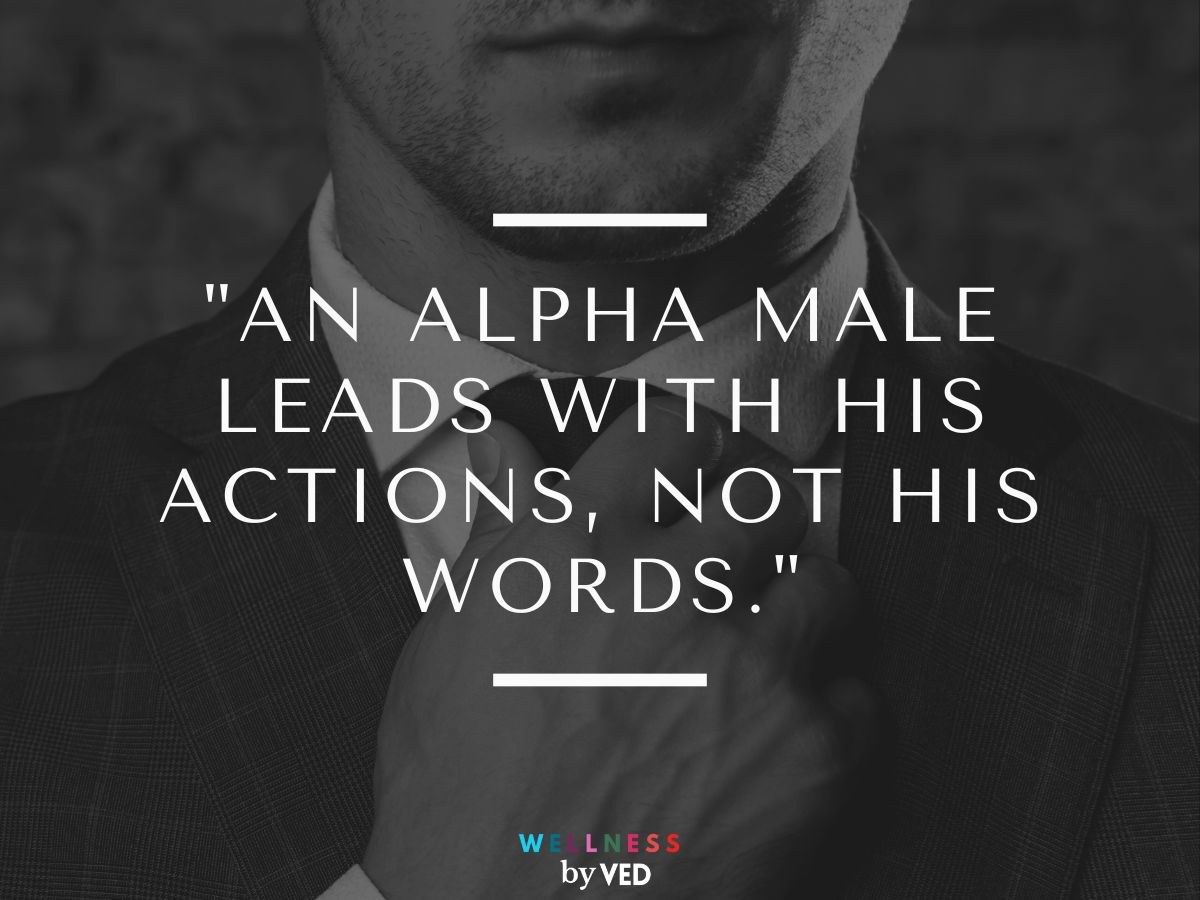 alpha male quotes 